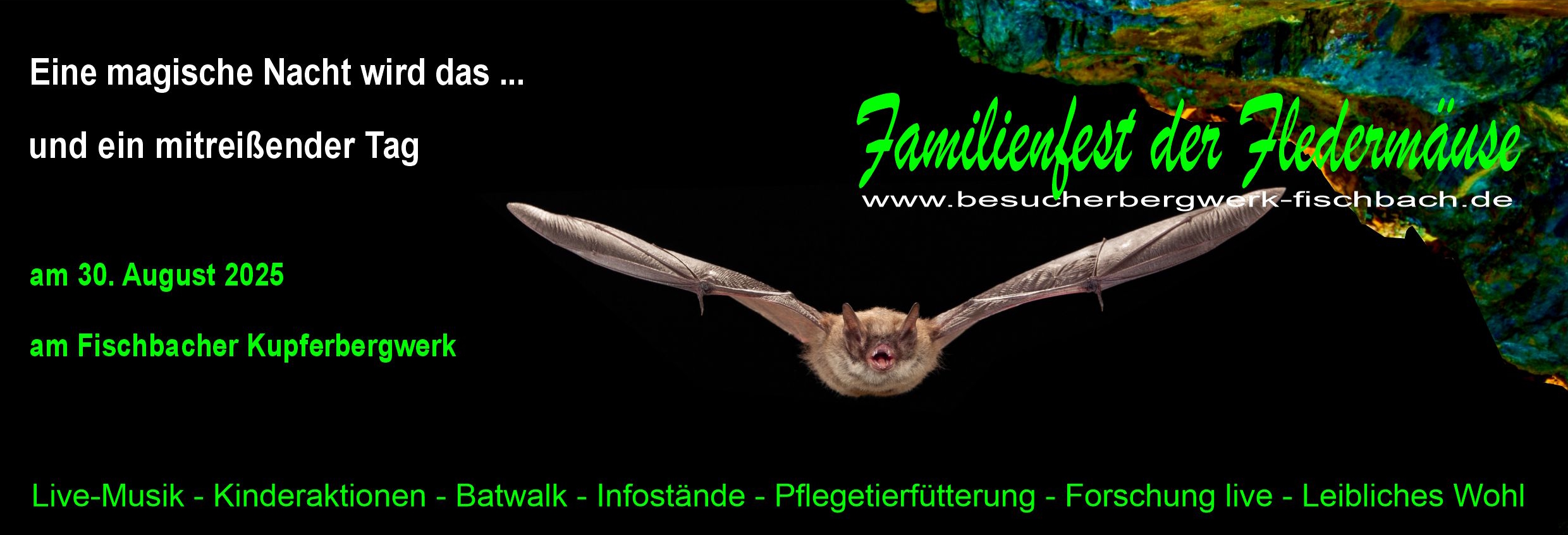 Familienfest der Fledermäuse